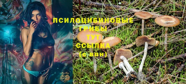 гидропоника Абинск